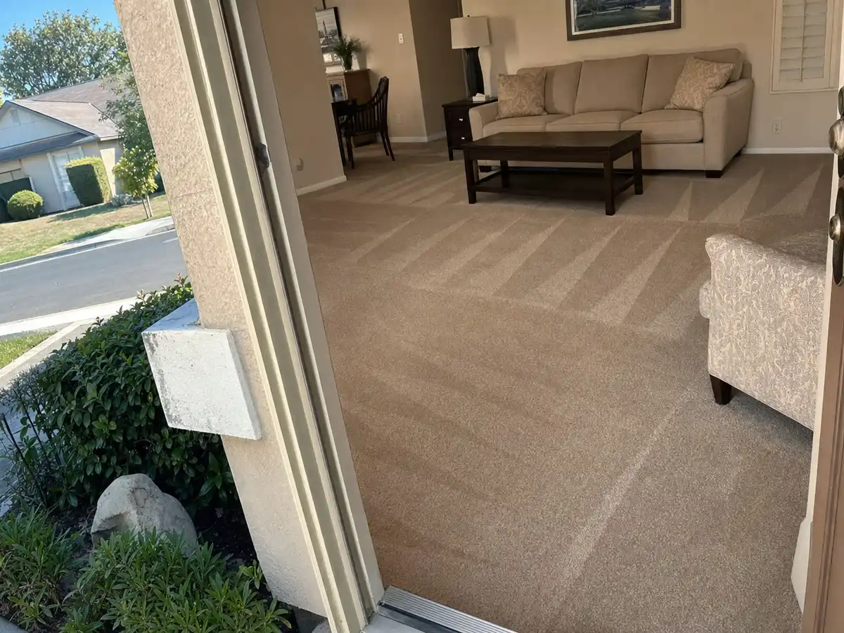 Freshly cleaned carpet with the furniture back in place — completed job in Burbank, CA